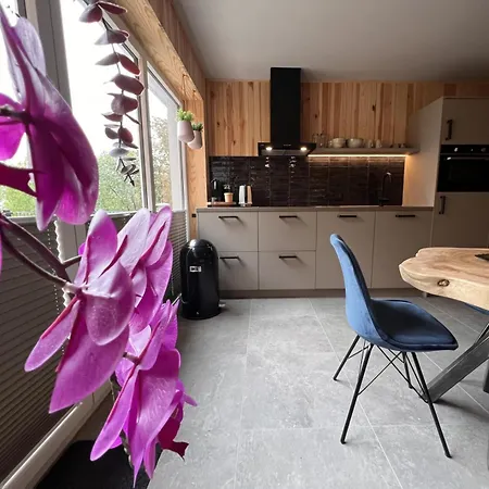 아파트 Haus Bergquell App 1 빌링겐