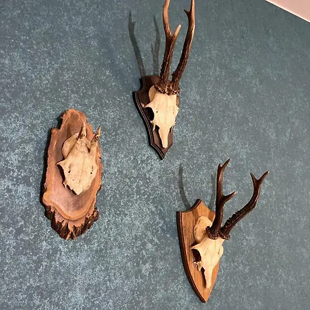 아파트 Haus Bergquell App 1 *