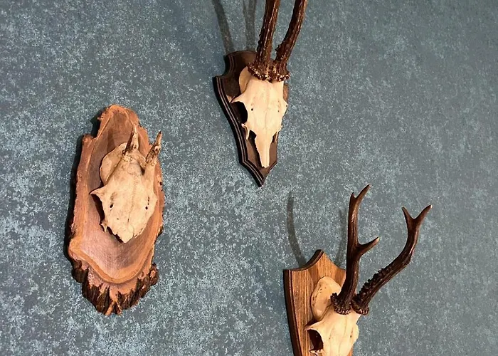 Lägenhet Haus Bergquell App 1 *